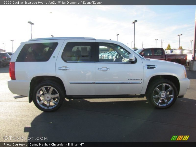 White Diamond / Ebony/Ebony 2009 Cadillac Escalade Hybrid AWD
