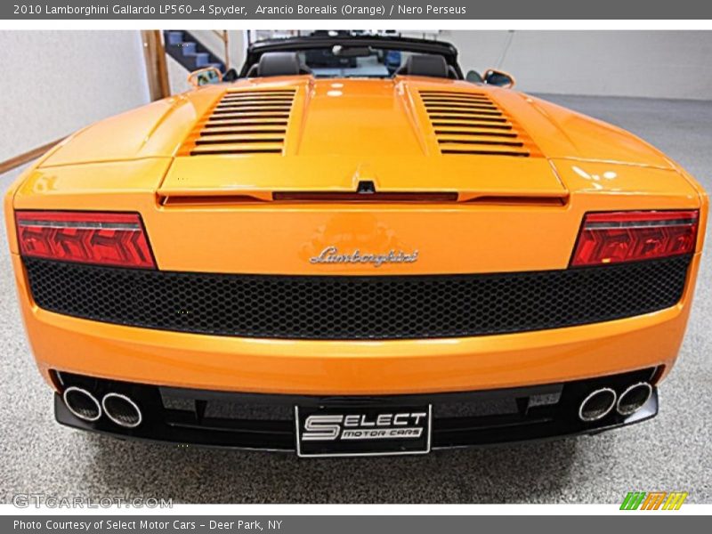 Arancio Borealis (Orange) / Nero Perseus 2010 Lamborghini Gallardo LP560-4 Spyder