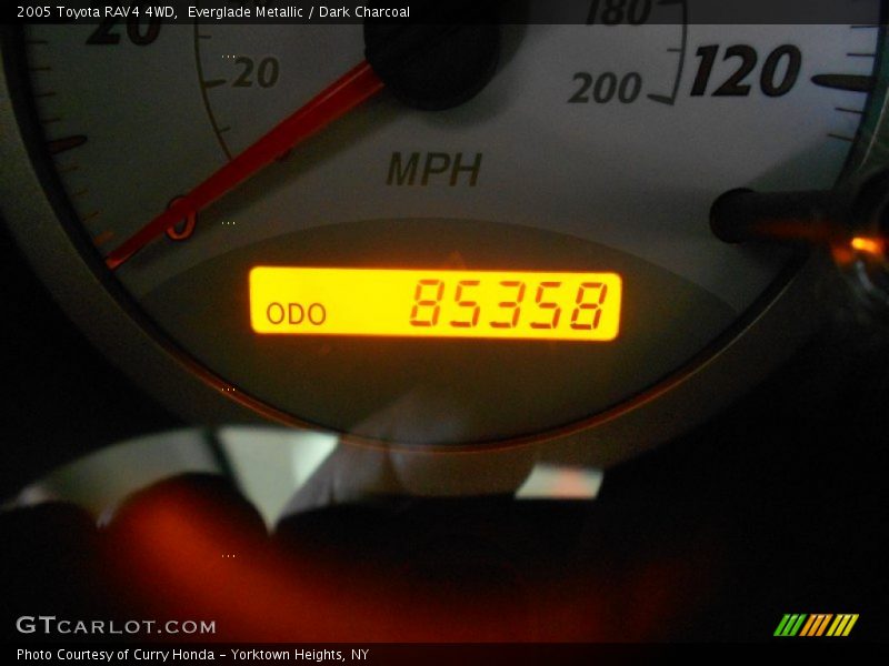 Everglade Metallic / Dark Charcoal 2005 Toyota RAV4 4WD