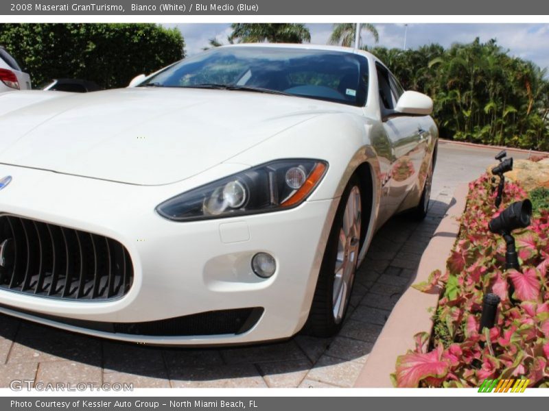 Bianco (White) / Blu Medio (Blue) 2008 Maserati GranTurismo