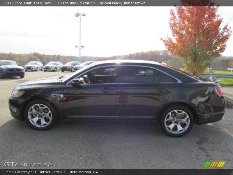 Tuxedo Black Metallic / Charcoal Black/Umber Brown 2012 Ford Taurus SHO AWD