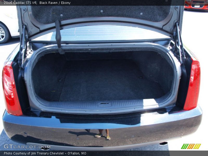 Black Raven / Ebony 2006 Cadillac STS V6