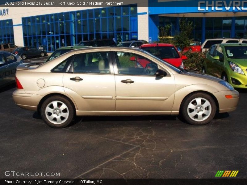 Fort Knox Gold / Medium Parchment 2002 Ford Focus ZTS Sedan