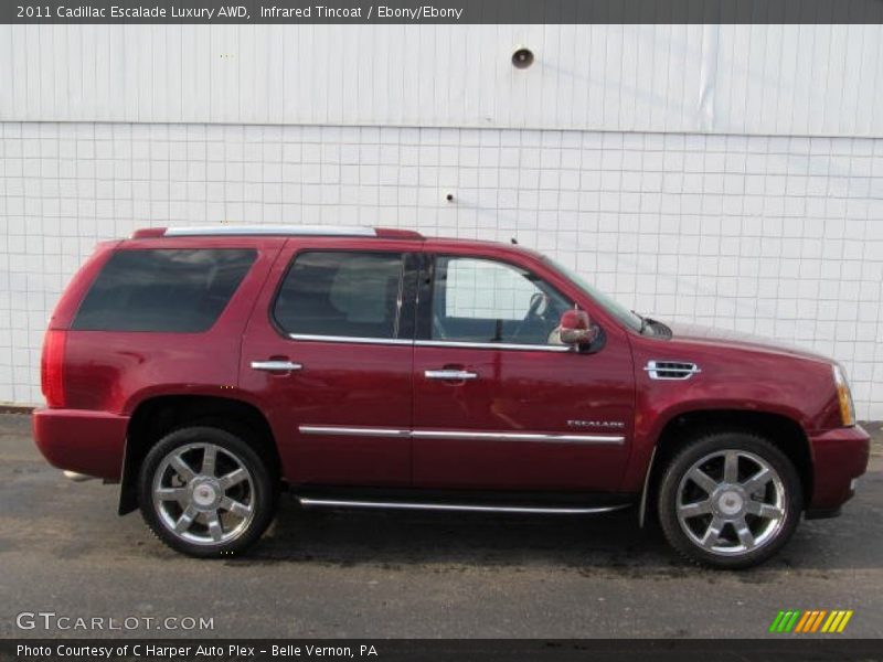 Infrared Tincoat / Ebony/Ebony 2011 Cadillac Escalade Luxury AWD