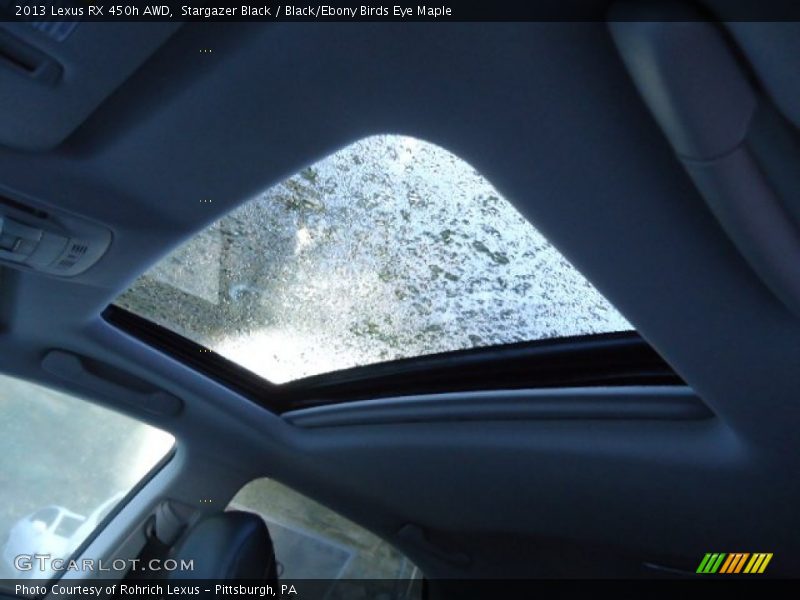 Stargazer Black / Black/Ebony Birds Eye Maple 2013 Lexus RX 450h AWD