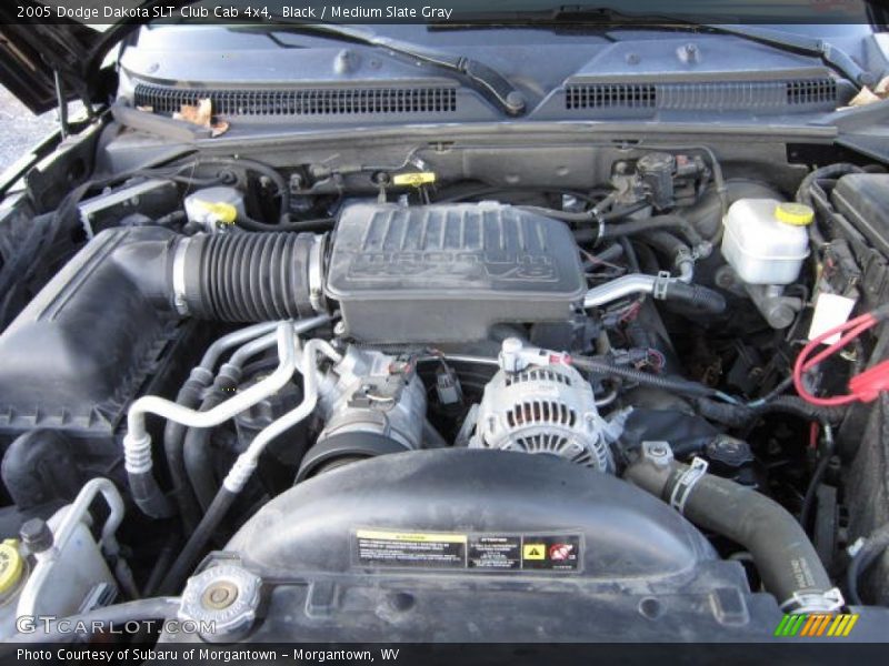Black / Medium Slate Gray 2005 Dodge Dakota SLT Club Cab 4x4