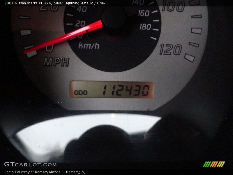 Silver Lightning Metallic / Gray 2004 Nissan Xterra XE 4x4