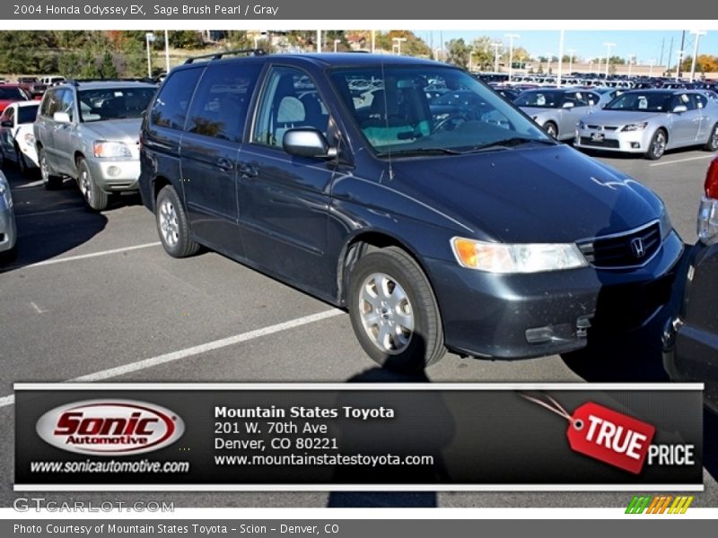 Sage Brush Pearl / Gray 2004 Honda Odyssey EX