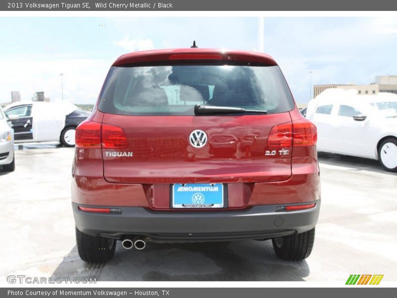 Wild Cherry Metallic / Black 2013 Volkswagen Tiguan SE