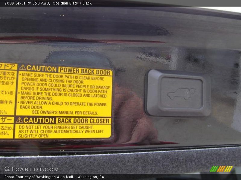Obsidian Black / Black 2009 Lexus RX 350 AWD