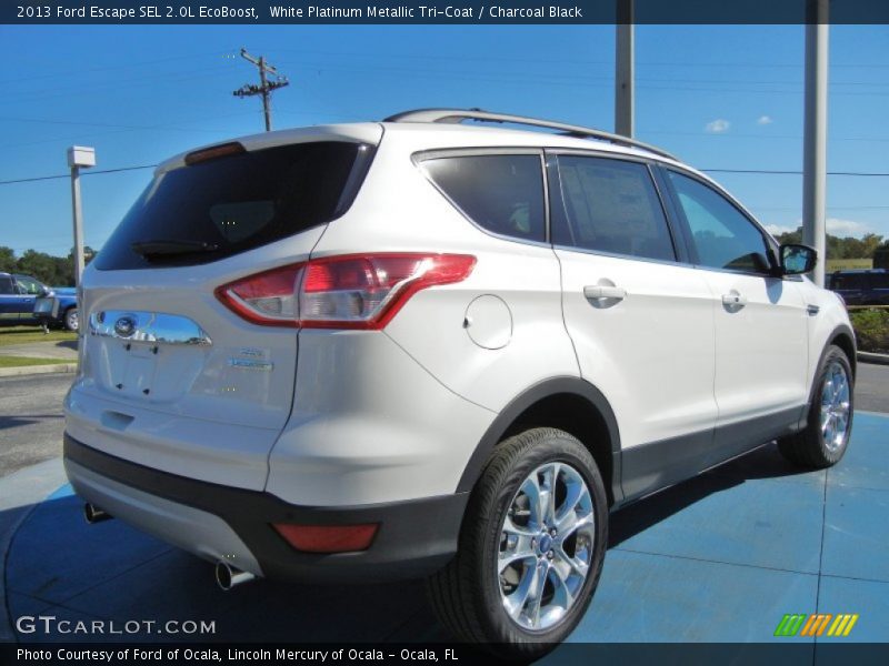 White Platinum Metallic Tri-Coat / Charcoal Black 2013 Ford Escape SEL 2.0L EcoBoost