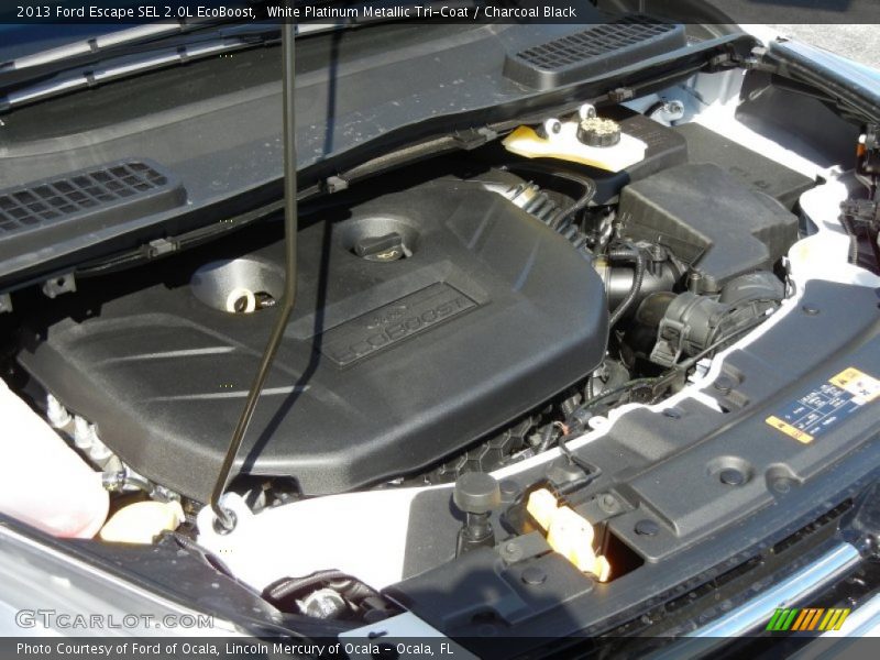 White Platinum Metallic Tri-Coat / Charcoal Black 2013 Ford Escape SEL 2.0L EcoBoost