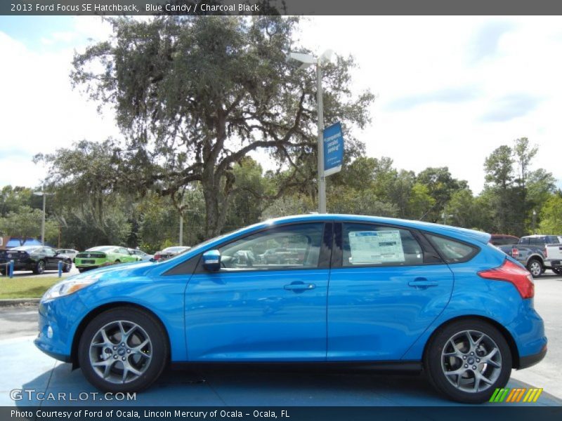  2013 Focus SE Hatchback Blue Candy