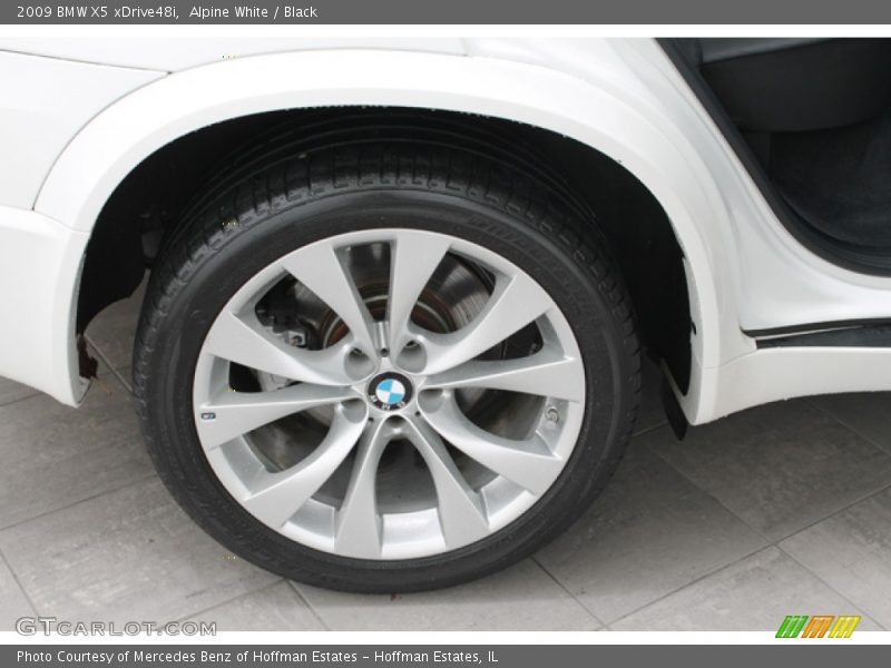Alpine White / Black 2009 BMW X5 xDrive48i