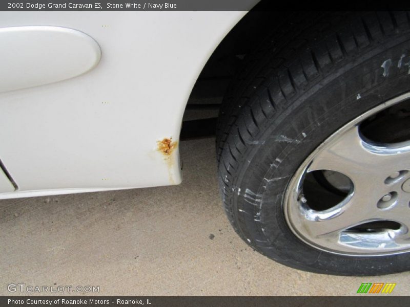Stone White / Navy Blue 2002 Dodge Grand Caravan ES