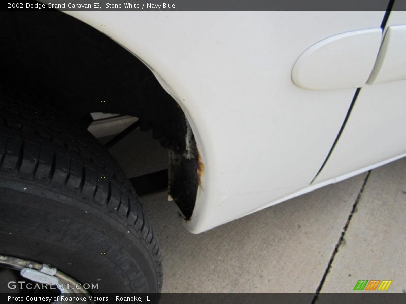 Stone White / Navy Blue 2002 Dodge Grand Caravan ES