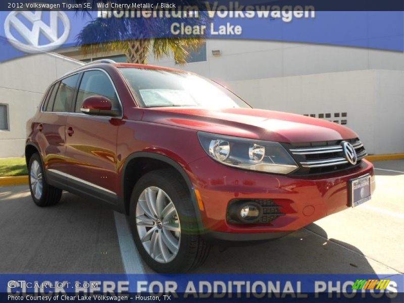 Wild Cherry Metallic / Black 2012 Volkswagen Tiguan SE