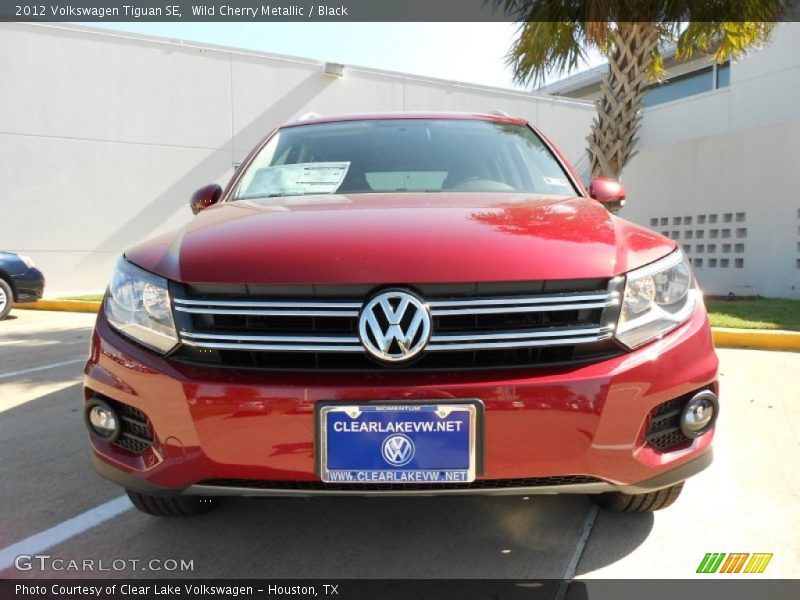 Wild Cherry Metallic / Black 2012 Volkswagen Tiguan SE