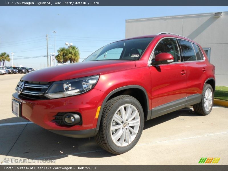 Wild Cherry Metallic / Black 2012 Volkswagen Tiguan SE
