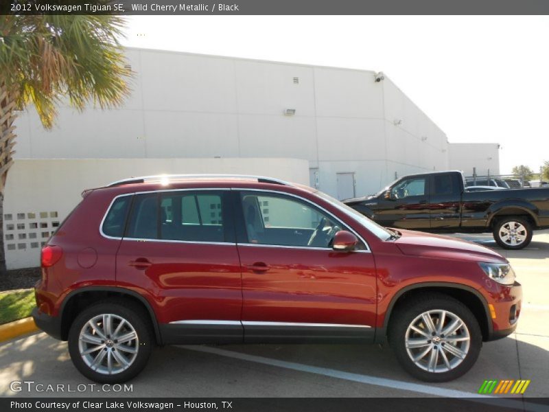 Wild Cherry Metallic / Black 2012 Volkswagen Tiguan SE