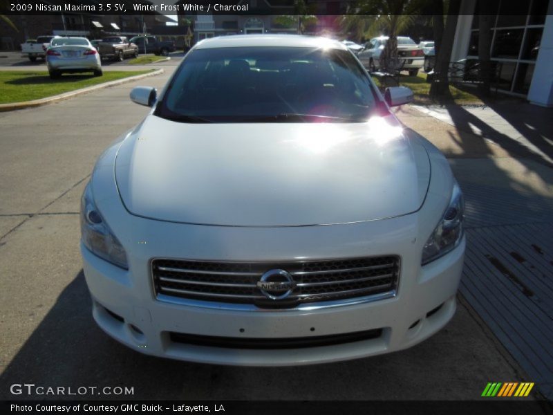Winter Frost White / Charcoal 2009 Nissan Maxima 3.5 SV