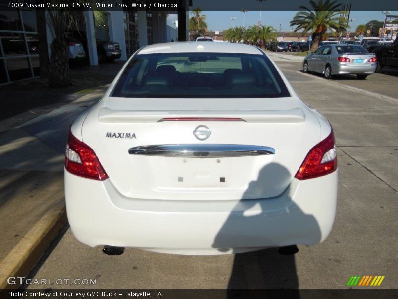 Winter Frost White / Charcoal 2009 Nissan Maxima 3.5 SV