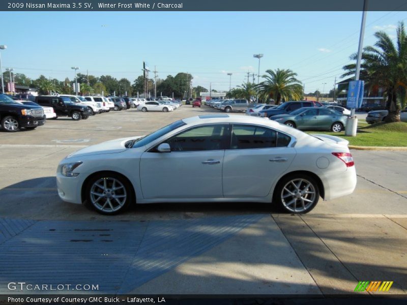 Winter Frost White / Charcoal 2009 Nissan Maxima 3.5 SV