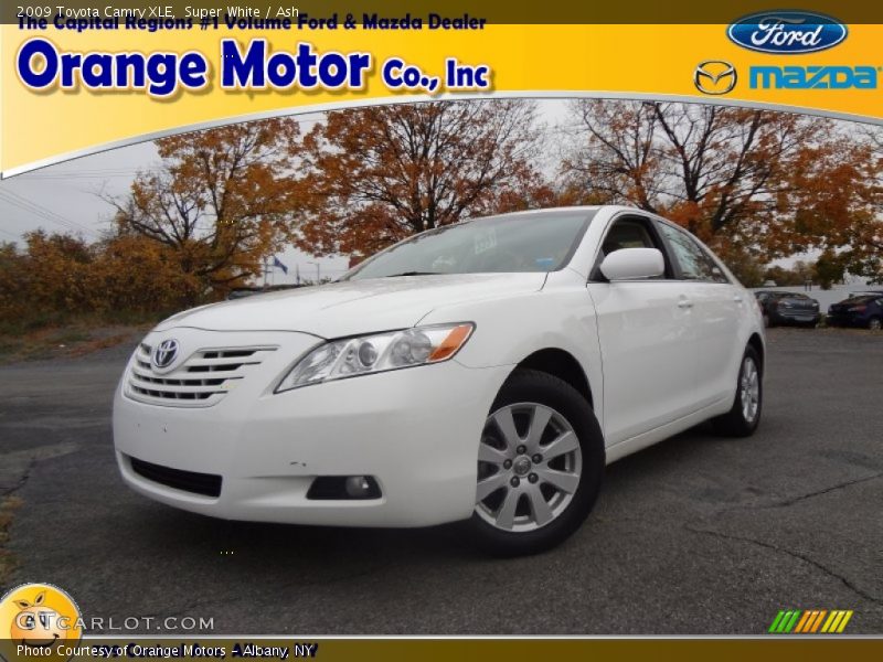 Super White / Ash 2009 Toyota Camry XLE