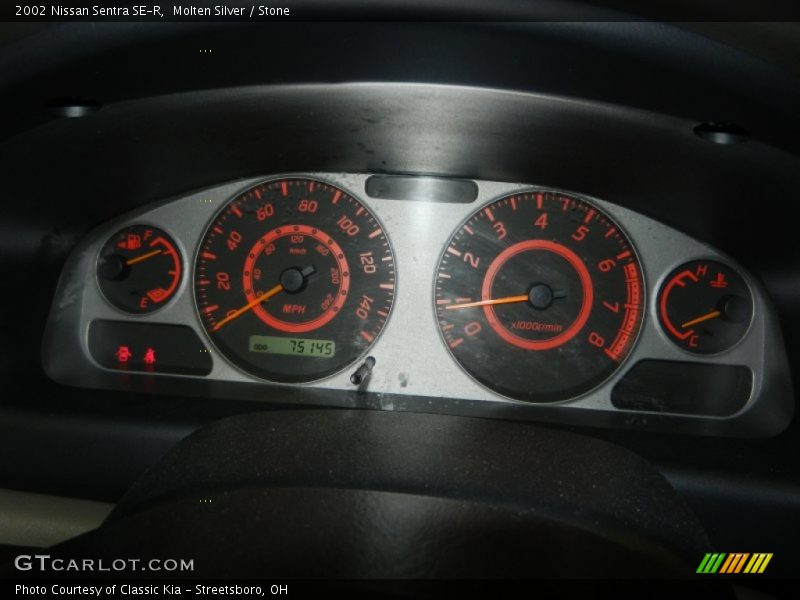 Molten Silver / Stone 2002 Nissan Sentra SE-R