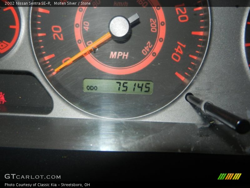 Molten Silver / Stone 2002 Nissan Sentra SE-R