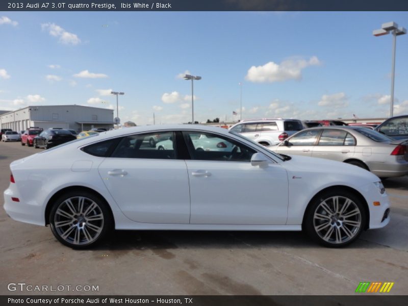 Ibis White / Black 2013 Audi A7 3.0T quattro Prestige