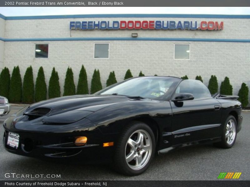 Black / Ebony Black 2002 Pontiac Firebird Trans Am Convertible