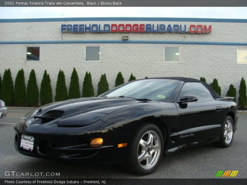 Black / Ebony Black 2002 Pontiac Firebird Trans Am Convertible