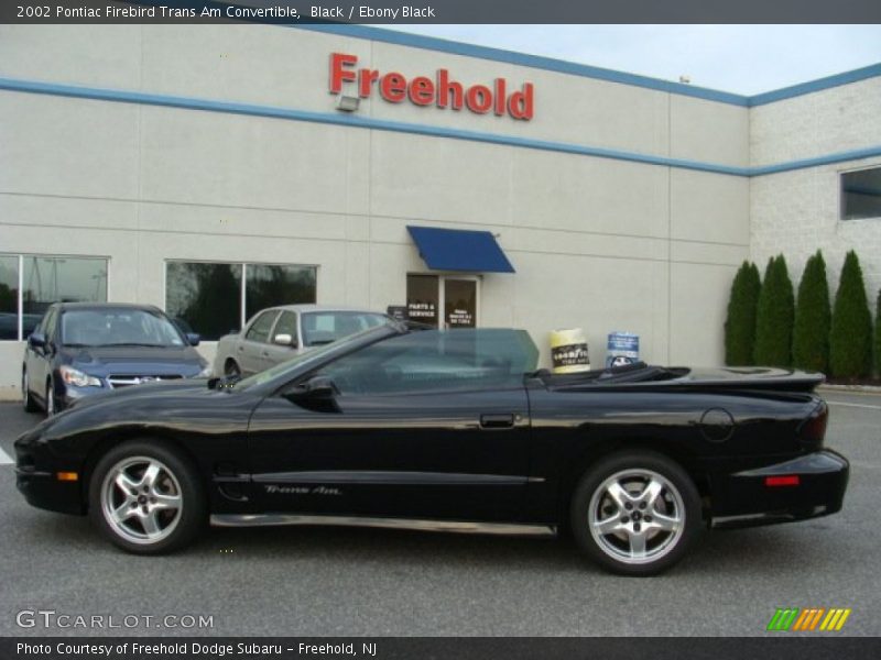 Black / Ebony Black 2002 Pontiac Firebird Trans Am Convertible