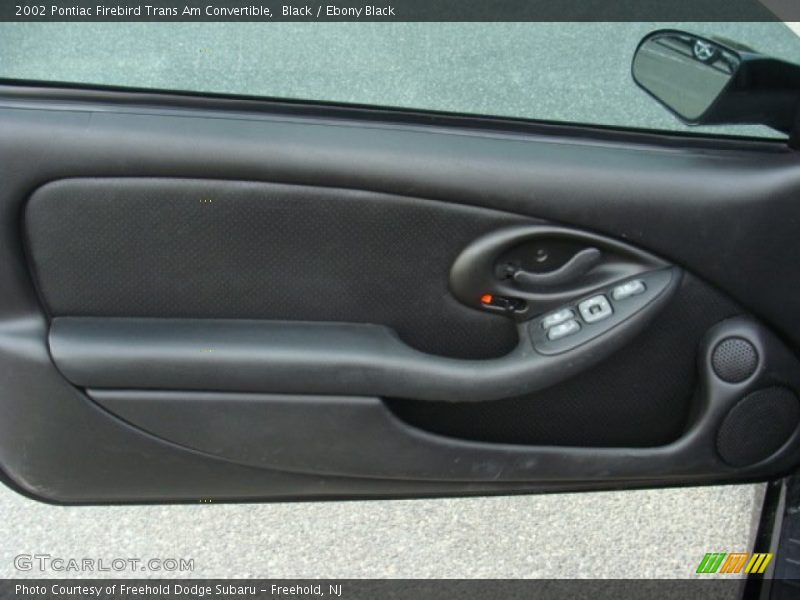Door Panel of 2002 Firebird Trans Am Convertible