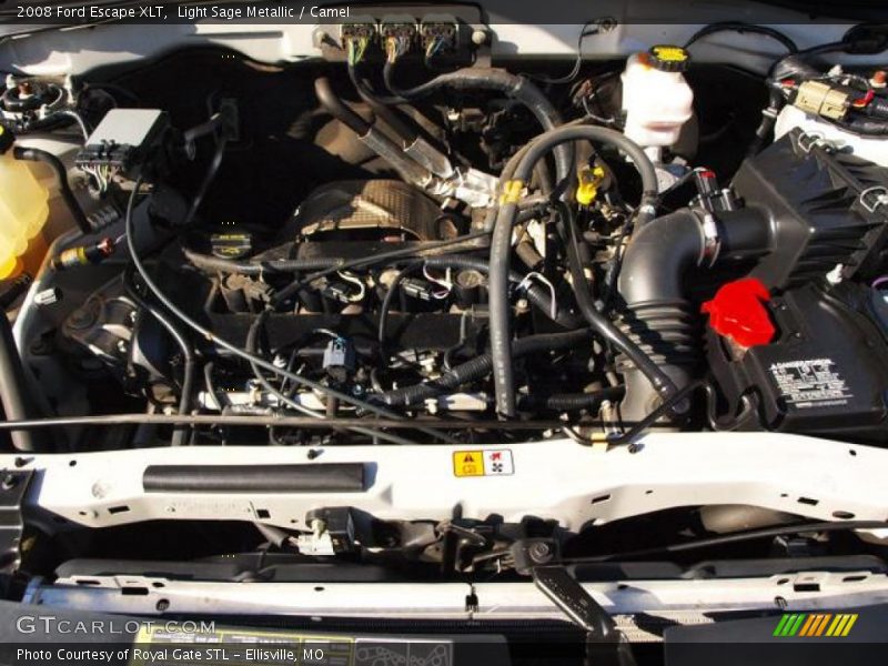 Light Sage Metallic / Camel 2008 Ford Escape XLT