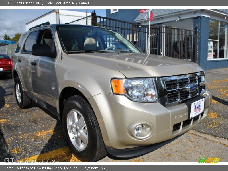 Gold Leaf Metallic / Camel 2012 Ford Escape XLT