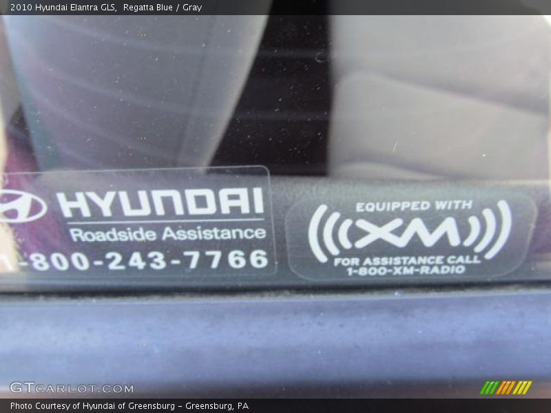 Regatta Blue / Gray 2010 Hyundai Elantra GLS