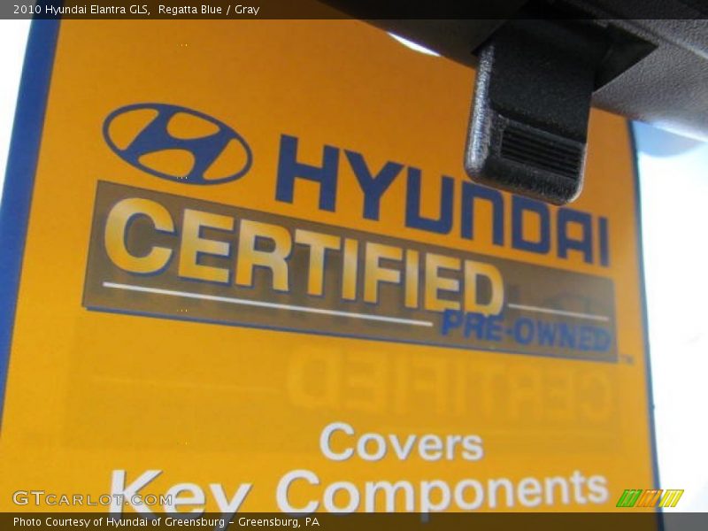 Regatta Blue / Gray 2010 Hyundai Elantra GLS