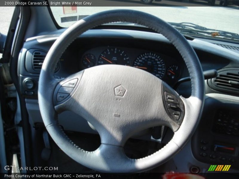 Bright White / Mist Grey 2000 Dodge Caravan SE