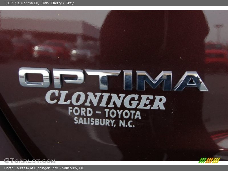 Dark Cherry / Gray 2012 Kia Optima EX