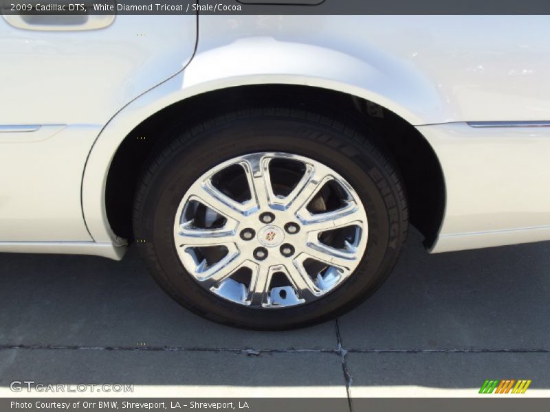 White Diamond Tricoat / Shale/Cocoa 2009 Cadillac DTS