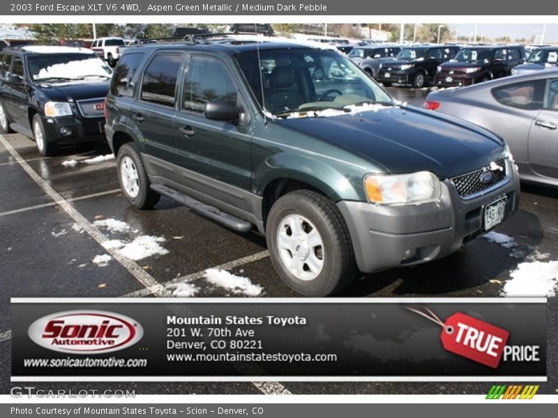 Aspen Green Metallic / Medium Dark Pebble 2003 Ford Escape XLT V6 4WD