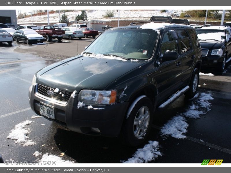 Aspen Green Metallic / Medium Dark Pebble 2003 Ford Escape XLT V6 4WD