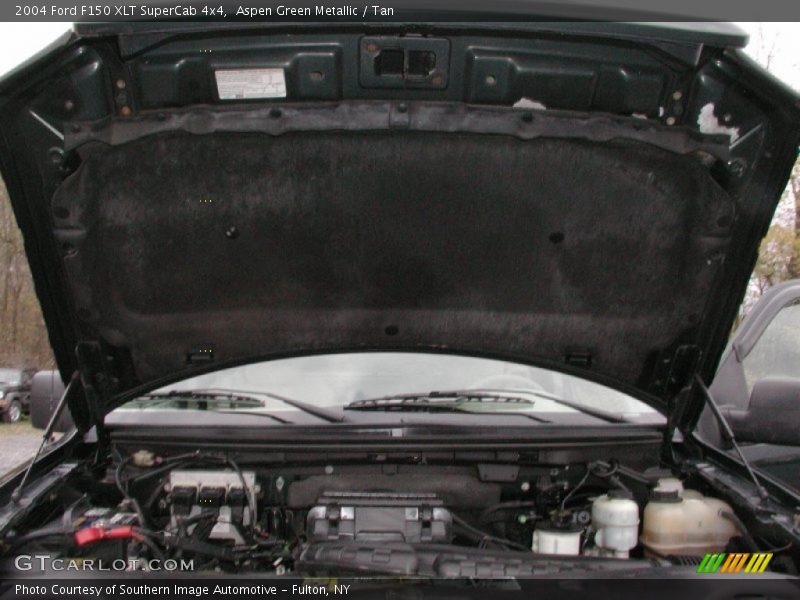 Aspen Green Metallic / Tan 2004 Ford F150 XLT SuperCab 4x4