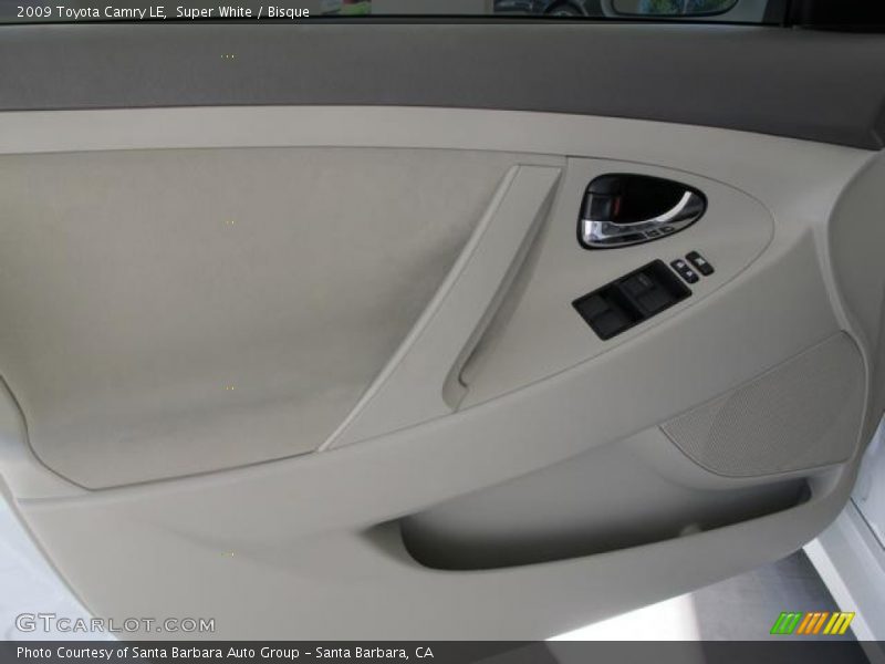 Door Panel of 2009 Camry LE