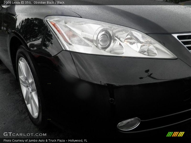Obsidian Black / Black 2008 Lexus ES 350