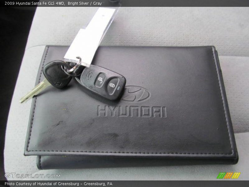 Bright Silver / Gray 2009 Hyundai Santa Fe GLS 4WD