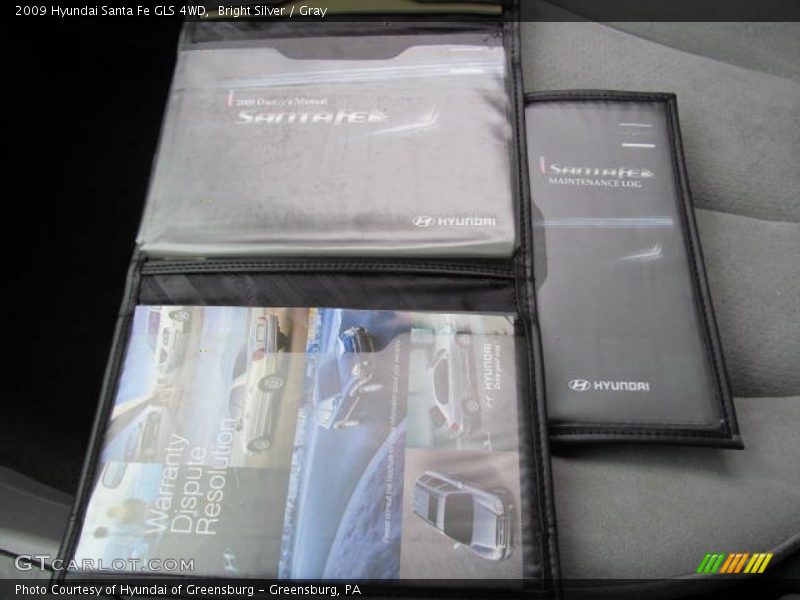 Bright Silver / Gray 2009 Hyundai Santa Fe GLS 4WD
