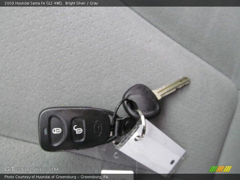 Bright Silver / Gray 2009 Hyundai Santa Fe GLS 4WD